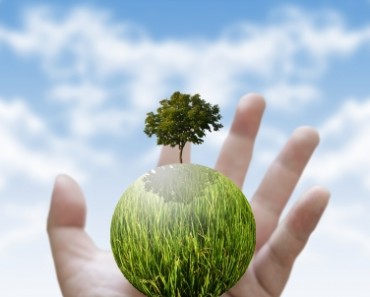 Growth-Hacking at Startup
