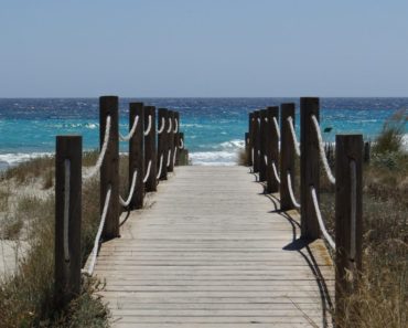 Summer sea of opportunities