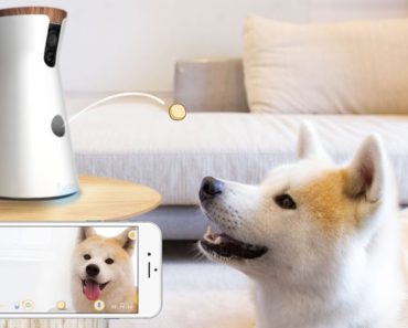 Furbo Dog Camera