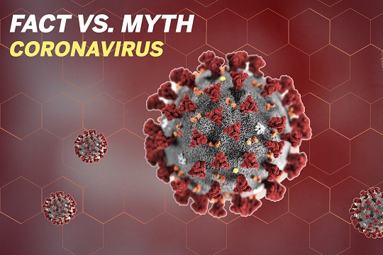 Coronavirus myth